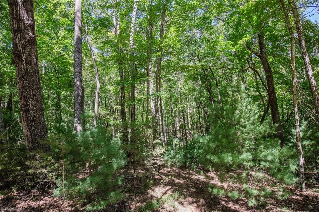 Unimproved Land at 00 Sutters Ridge Road, McGrady NC 28649, McGrady, photo 15 of 16