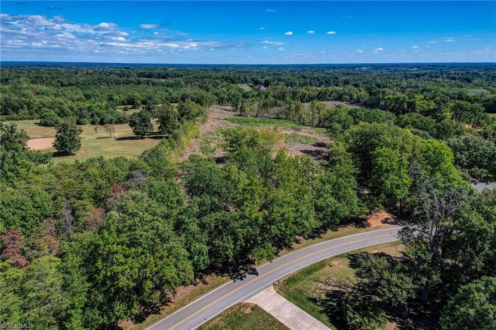 Unimproved Land at 0 Wolf Island Road, Reidsville NC 27320, Reidsville, photo 3 of 30
