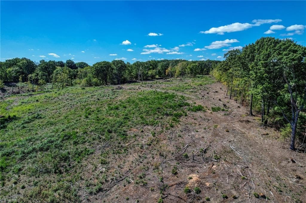 Unimproved Land at 0 Wolf Island Road, Reidsville NC 27320, Reidsville, photo 25 of 30