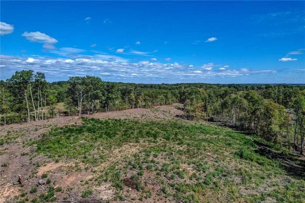 Unimproved Land at 0 Wolf Island Road, Reidsville NC 27320, Reidsville, photo 23 of 30