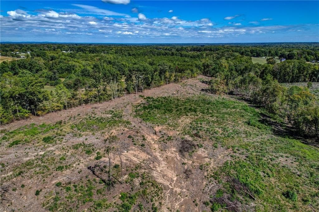 Unimproved Land at 0 Wolf Island Road, Reidsville NC 27320, Reidsville, photo 17 of 30