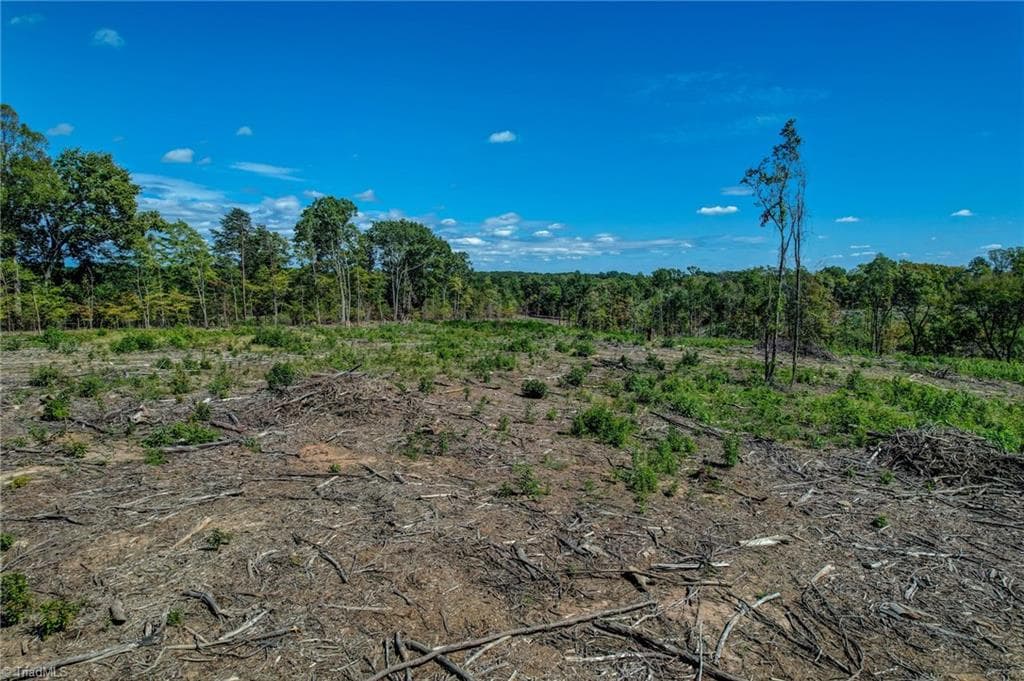 Unimproved Land at 0 Wolf Island Road, Reidsville NC 27320, Reidsville, photo 21 of 30
