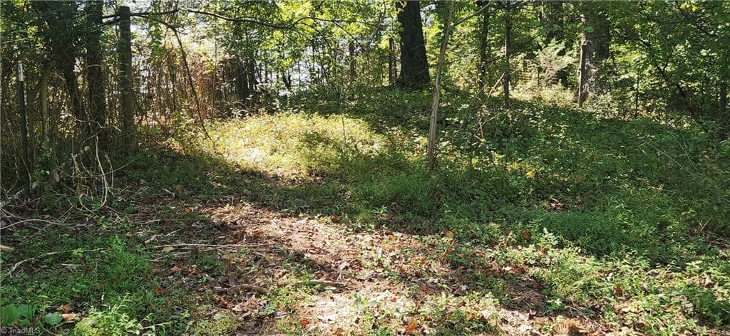 Stick/Site Built at 1912 Nc Highway 67, Jonesville NC 28642, Jonesville, photo 18 of 19