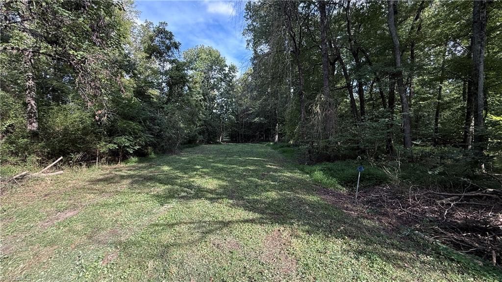 0 Lonita Street, Archdale NC 27263