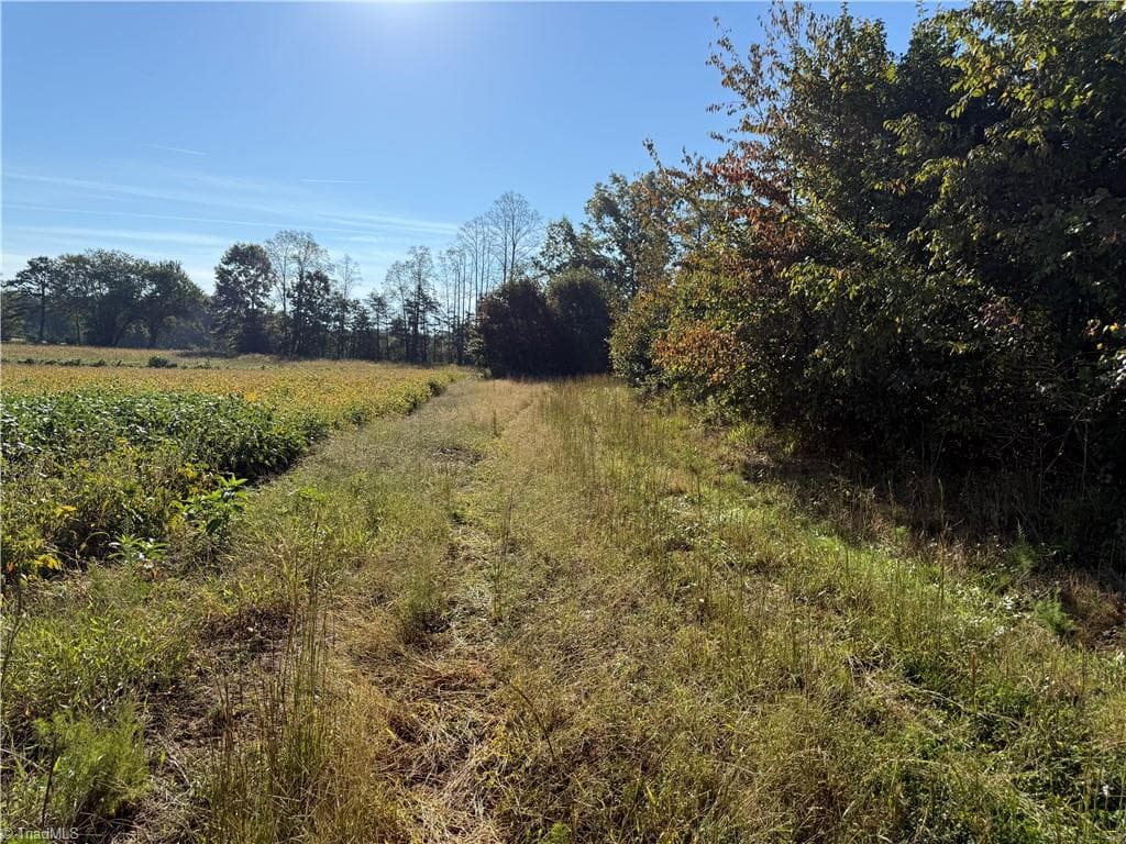 Agriculture at Lot 1 Eldora Road, Ararat NC 27007, photo 2 of 6