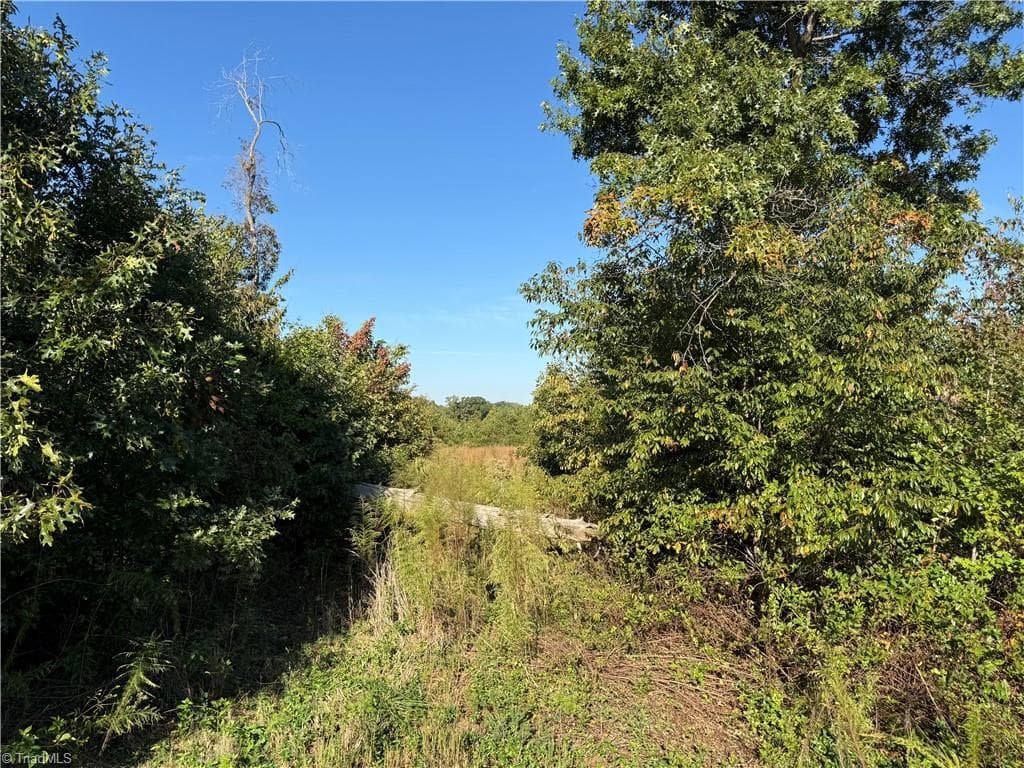Agriculture at Lot 1 Eldora Road, Ararat NC 27007, photo 3 of 6