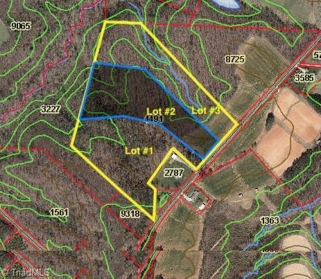 Lot 1 Eldora Road, Ararat NC 27007