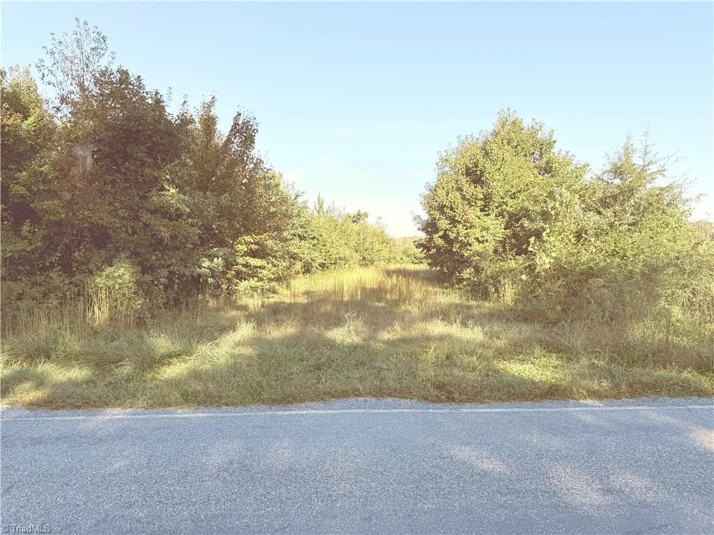 Agriculture at Lot 1 Eldora Road, Ararat NC 27007, photo 4 of 6