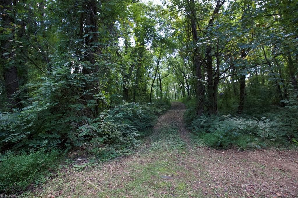 Unimproved Land at TBD Cove Gap Road, Moravian Falls NC 28654, photo 27 of 29