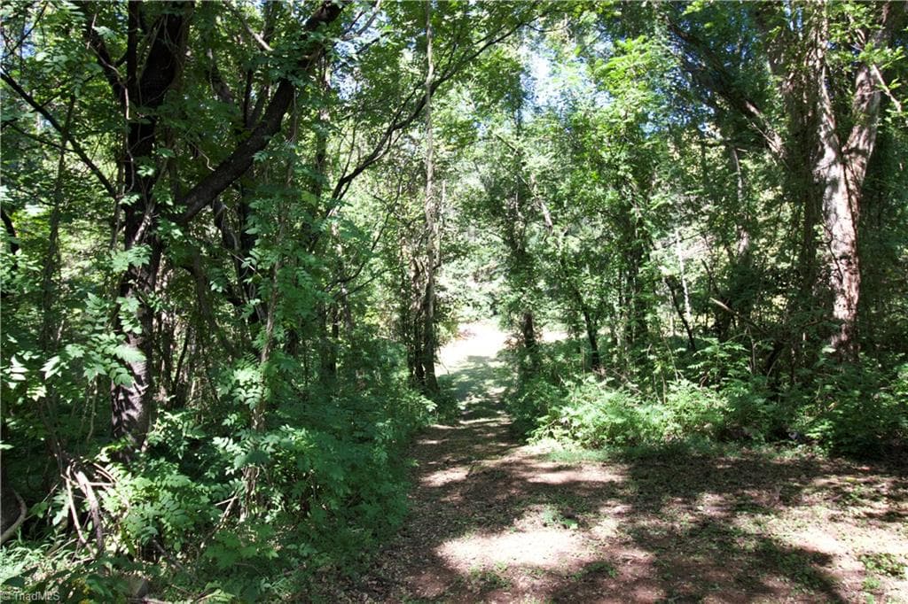 Unimproved Land at TBD Cove Gap Road, Moravian Falls NC 28654, photo 3 of 29