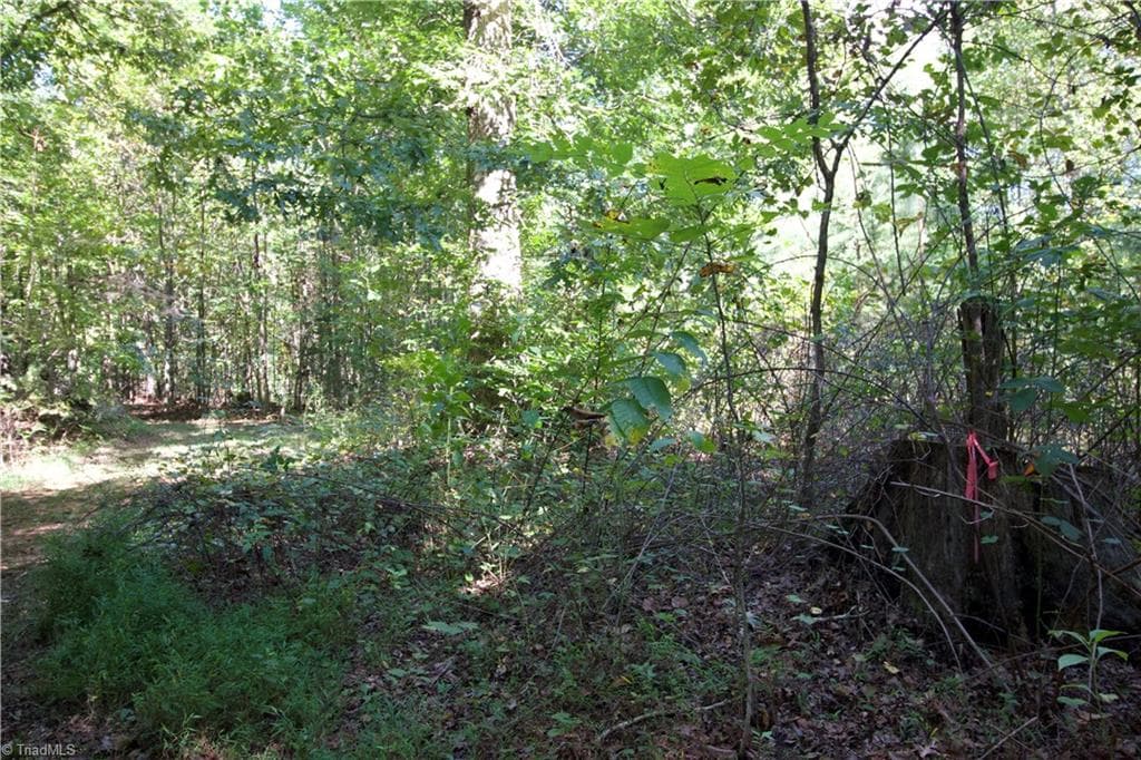 Unimproved Land at TBD Cove Gap Road, Moravian Falls NC 28654, photo 20 of 29