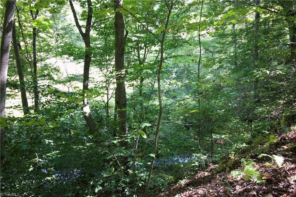 Unimproved Land at TBD Cove Gap Road, Moravian Falls NC 28654, photo 18 of 29