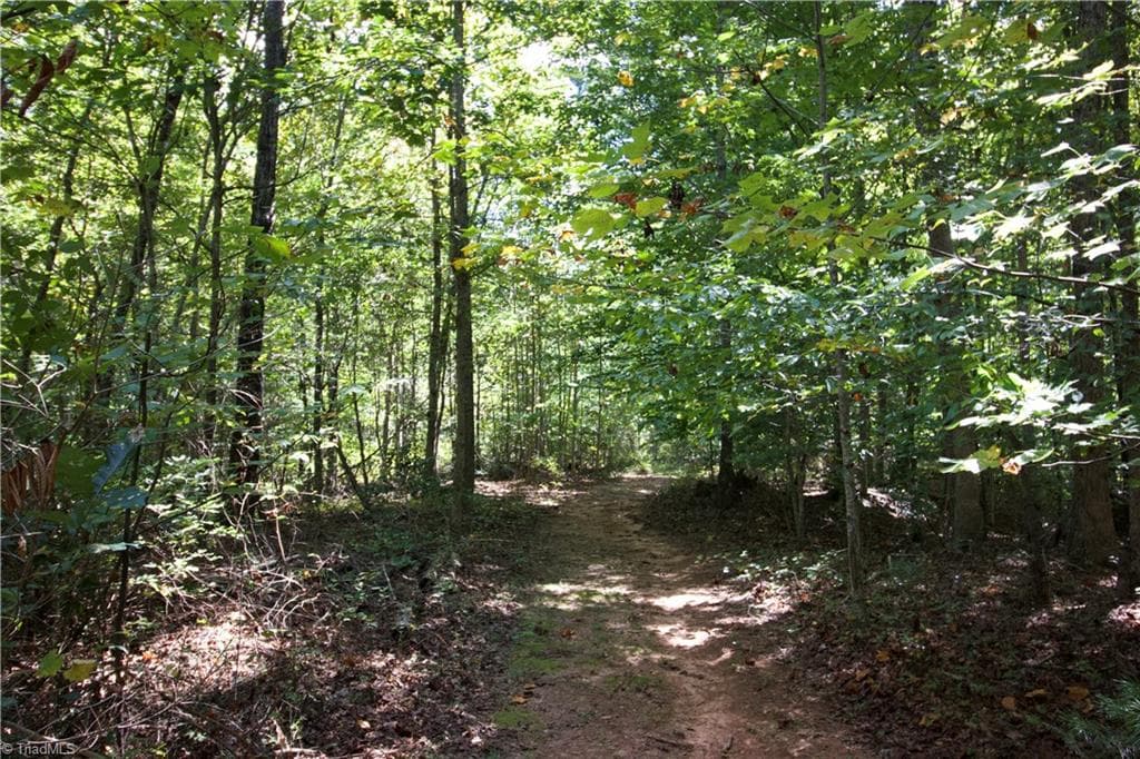 Unimproved Land at TBD Cove Gap Road, Moravian Falls NC 28654, photo 19 of 29