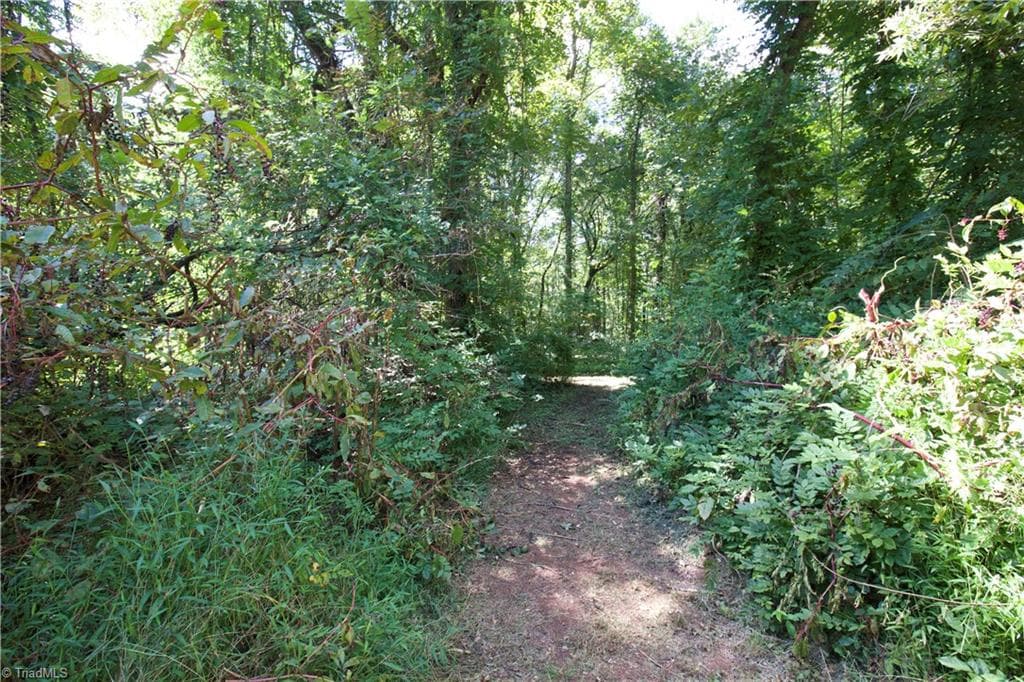 Unimproved Land at TBD Cove Gap Road, Moravian Falls NC 28654, photo 25 of 29