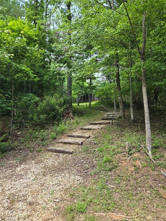 Steps to the lake - 1984 Horseshoe Road, Westfield NC 27053, Westfield
