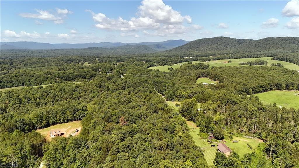 Single Family Residence at TBD Haystack Road, Mount Airy NC 27030, photo 4 of 11