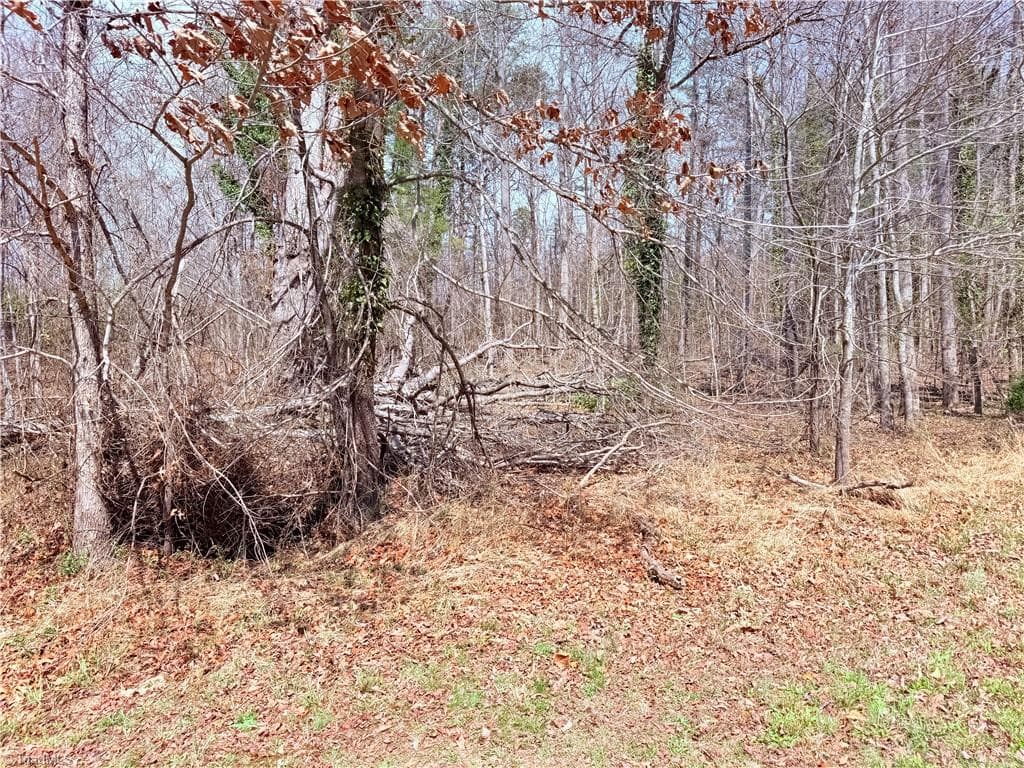 Single Family Residence at 00 Ponderosa Road, Stoneville NC 27048, Stoneville, photo 2 of 11