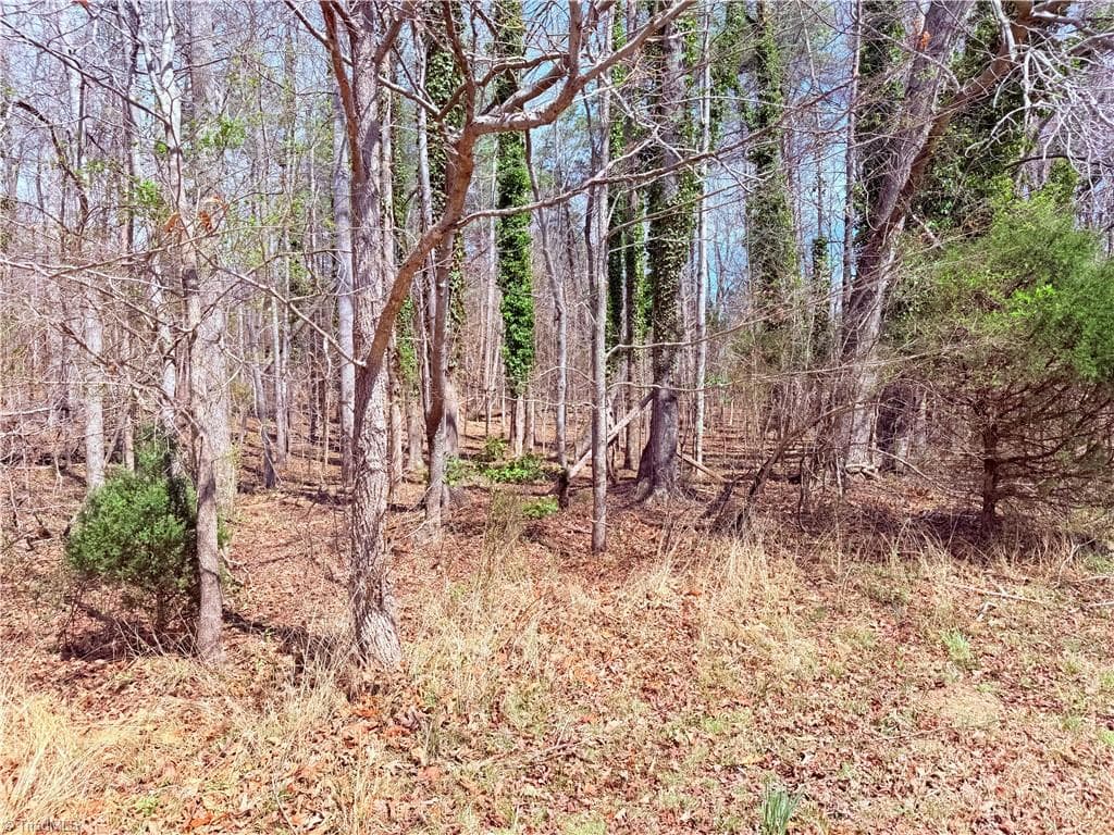 Single Family Residence at 00 Ponderosa Road, Stoneville NC 27048, Stoneville, photo 10 of 11
