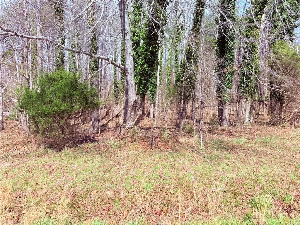 Single Family Residence at 00 Ponderosa Road, Stoneville NC 27048, Stoneville, photo 4 of 11