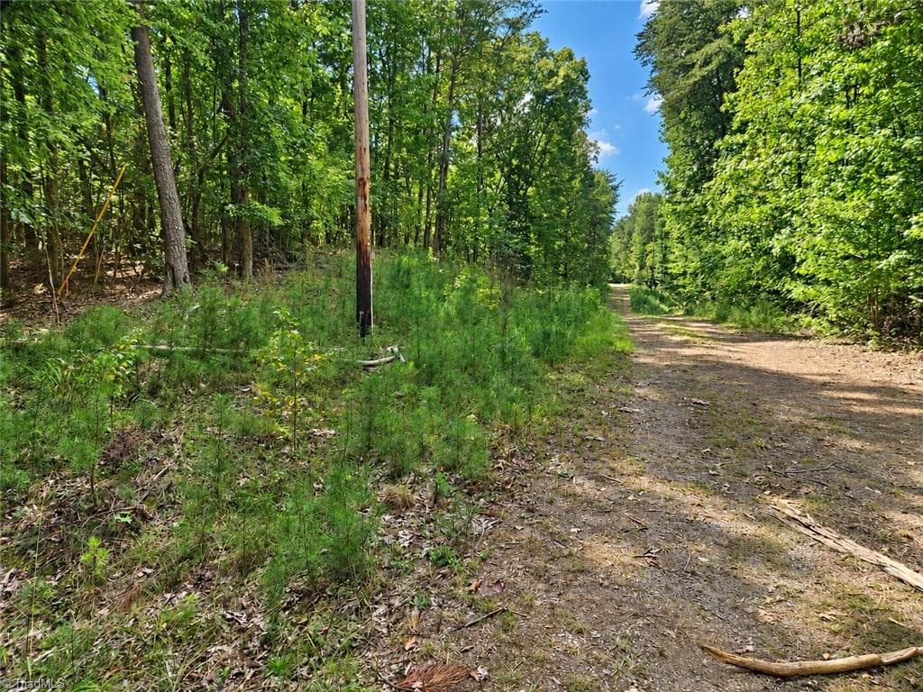 Unimproved Land at 236 Sugar Loaf Road, Troy NC 27371, photo 2 of 24