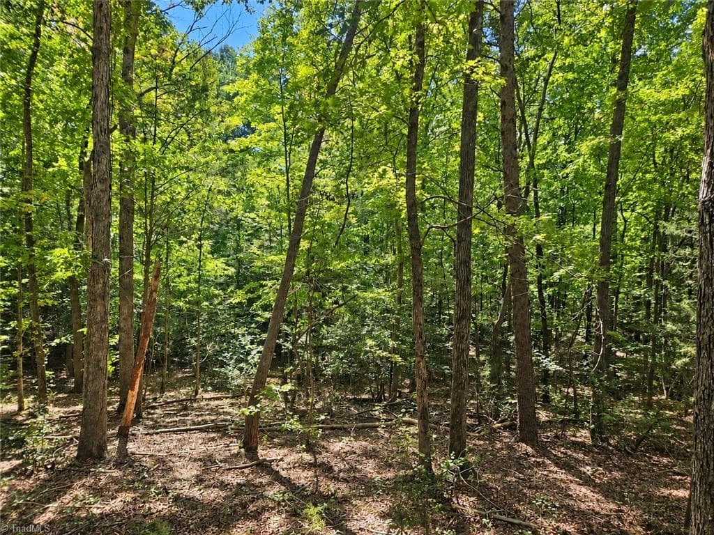 236 Sugar Loaf Road, Troy NC 27371