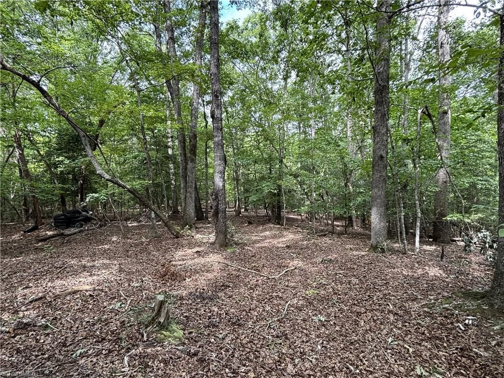 Unimproved Land at 236 Sugar Loaf Road, Troy NC 27371, photo 4 of 24