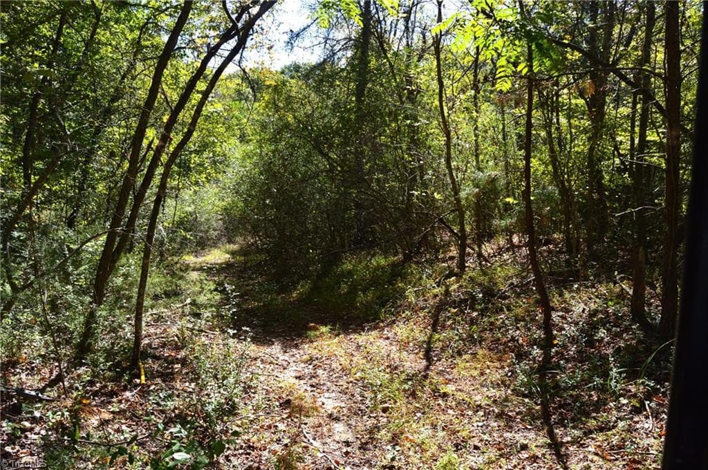 Remarks at 1541-1345 NC Highway 89 W, Danbury NC 27016, Danbury, photo 45 of 82