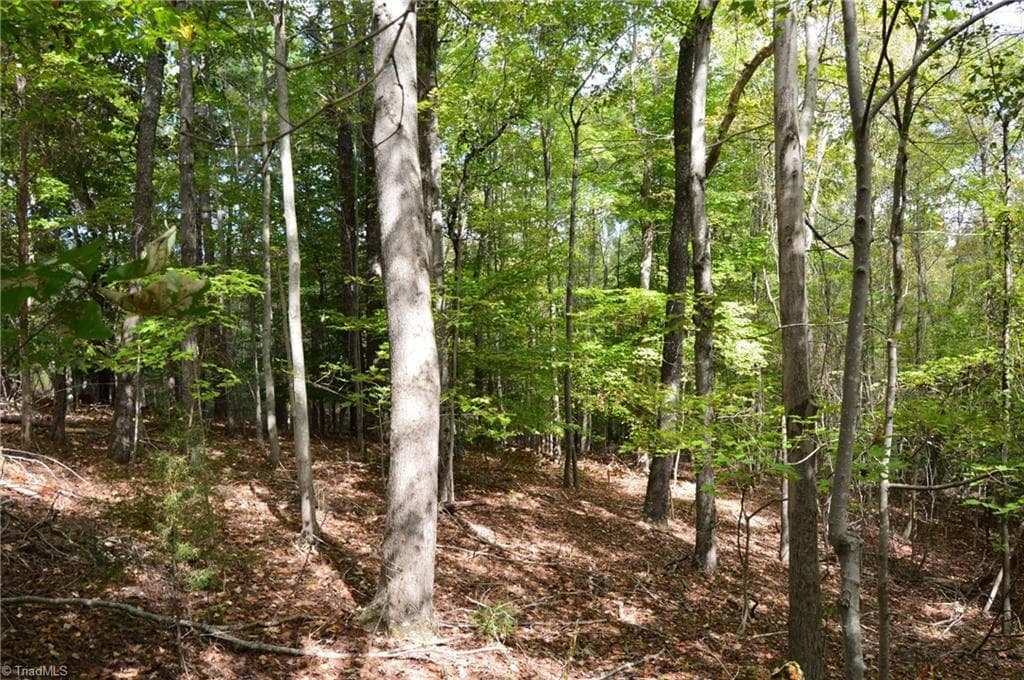 Remarks at 1541-1345 NC Highway 89 W, Danbury NC 27016, Danbury, photo 53 of 82