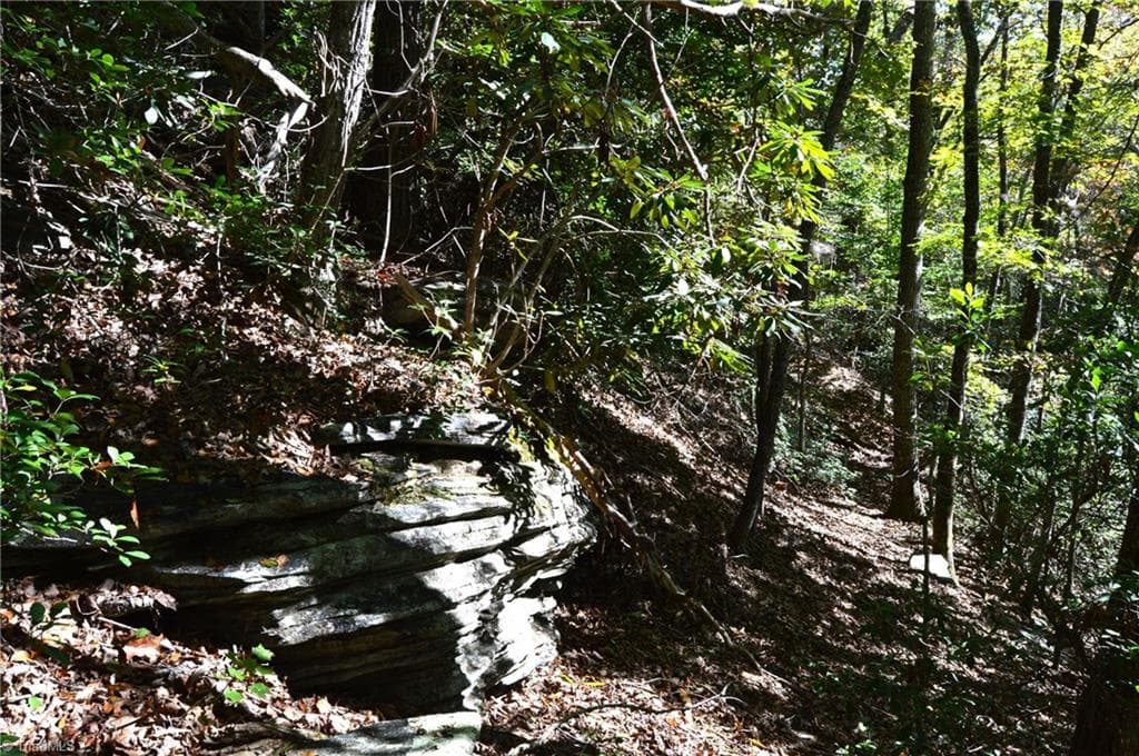 Remarks at 1541-1345 NC Highway 89 W, Danbury NC 27016, Danbury, photo 31 of 82