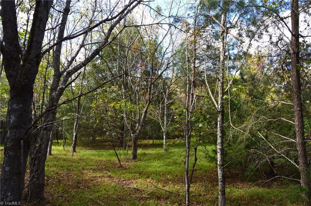 Remarks at 1541-1345 NC Highway 89 W, Danbury NC 27016, Danbury, photo 51 of 82
