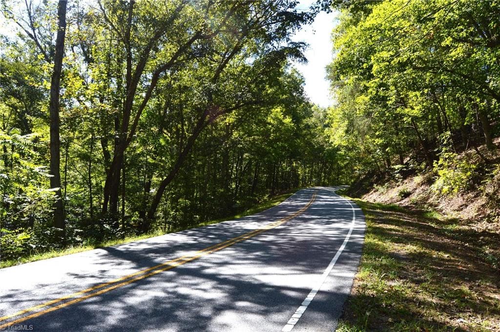 Remarks at 1541-1345 NC Highway 89 W, Danbury NC 27016, Danbury, photo 43 of 82