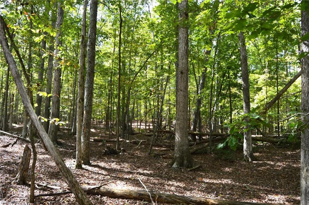 Remarks at 1541-1345 NC Highway 89 W, Danbury NC 27016, Danbury, photo 63 of 82