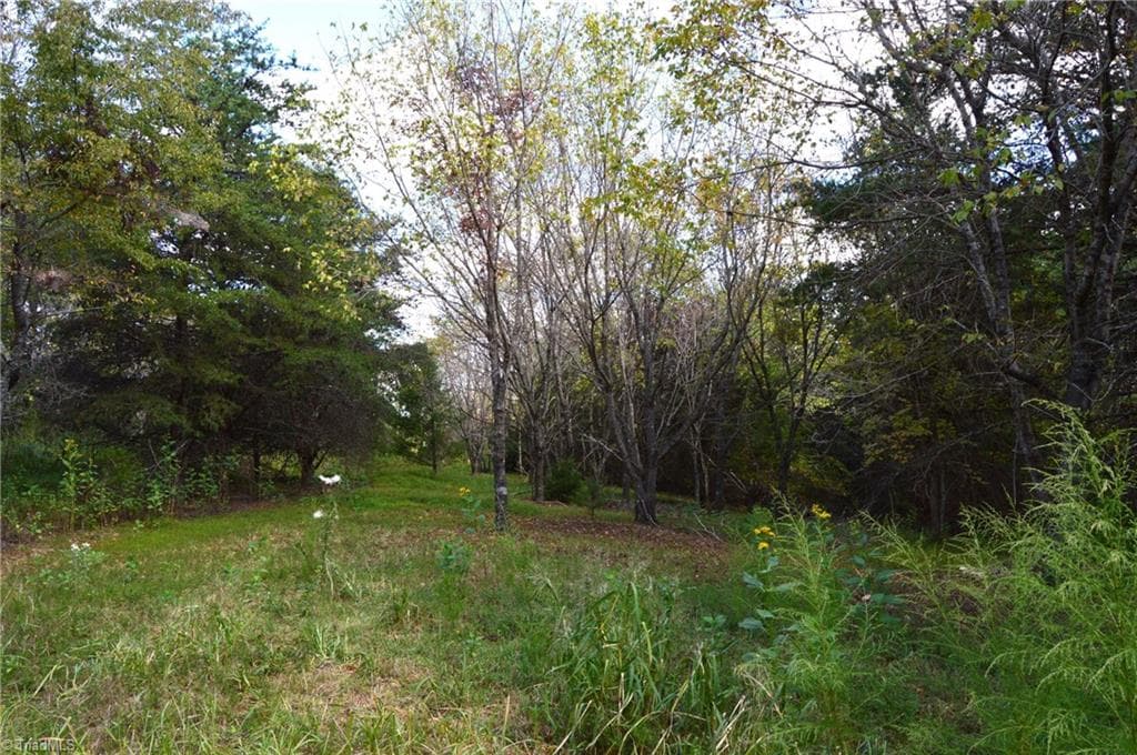 Remarks at 1541-1345 NC Highway 89 W, Danbury NC 27016, Danbury, photo 59 of 82