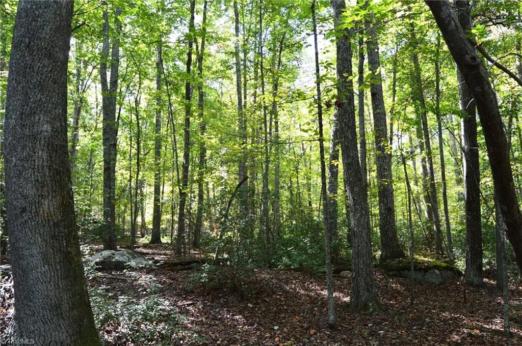 Remarks at 1541-1345 NC Highway 89 W, Danbury NC 27016, Danbury, photo 67 of 82