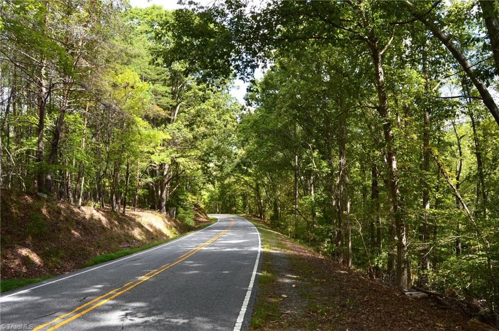 Remarks at 1541-1345 NC Highway 89 W, Danbury NC 27016, Danbury, photo 75 of 82