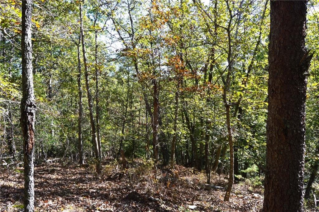 Remarks at 1541-1345 NC Highway 89 W, Danbury NC 27016, Danbury, photo 19 of 82
