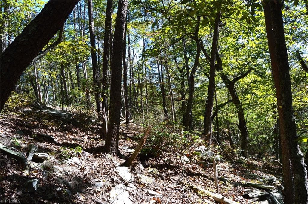 Remarks at 1541-1345 NC Highway 89 W, Danbury NC 27016, Danbury, photo 35 of 82