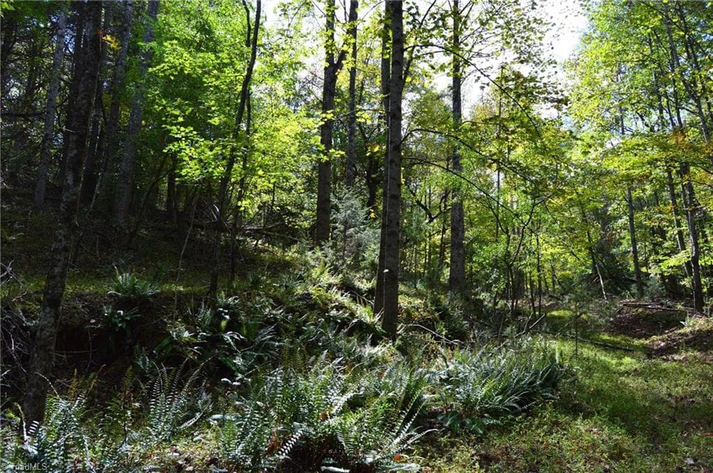 Remarks at 1541-1345 NC Highway 89 W, Danbury NC 27016, Danbury, photo 73 of 82