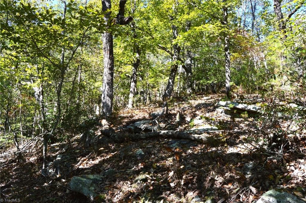 Remarks at 1541-1345 NC Highway 89 W, Danbury NC 27016, Danbury, photo 21 of 82