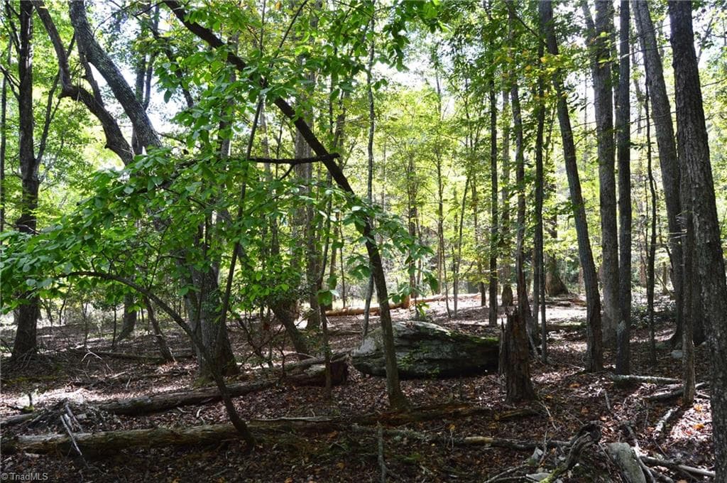 Remarks at 1541-1345 NC Highway 89 W, Danbury NC 27016, Danbury, photo 69 of 82