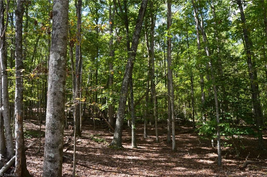 Remarks at 1541-1345 NC Highway 89 W, Danbury NC 27016, Danbury, photo 61 of 82