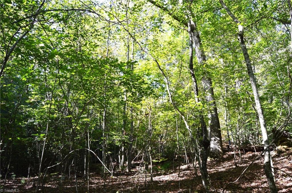 Remarks at 1541-1345 NC Highway 89 W, Danbury NC 27016, Danbury, photo 15 of 82