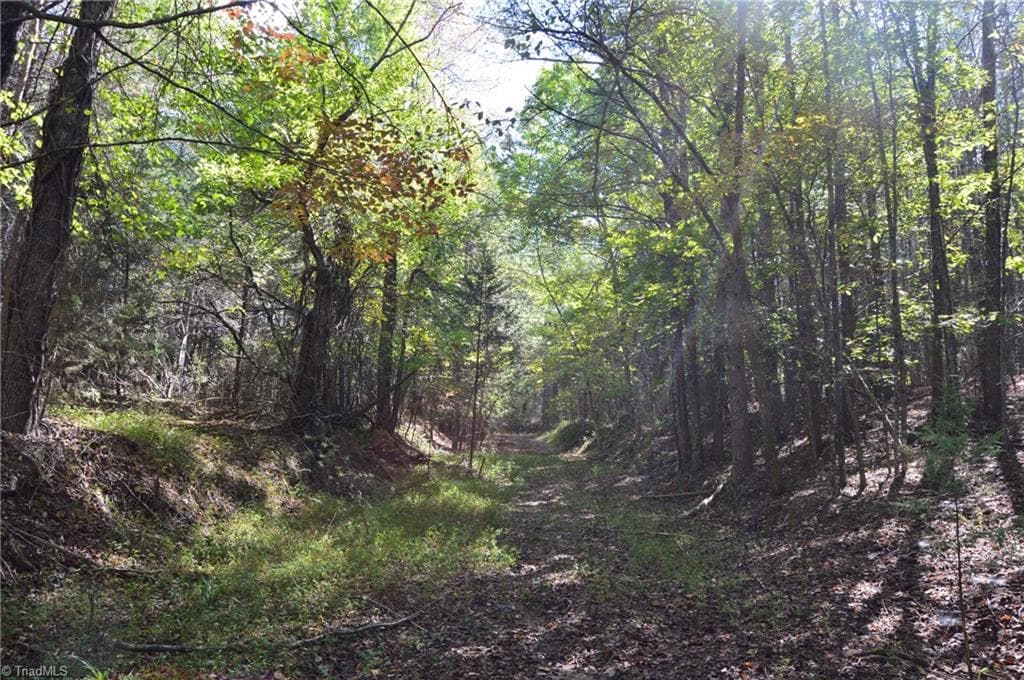 Remarks at 1541-1345 NC Highway 89 W, Danbury NC 27016, Danbury, photo 49 of 82