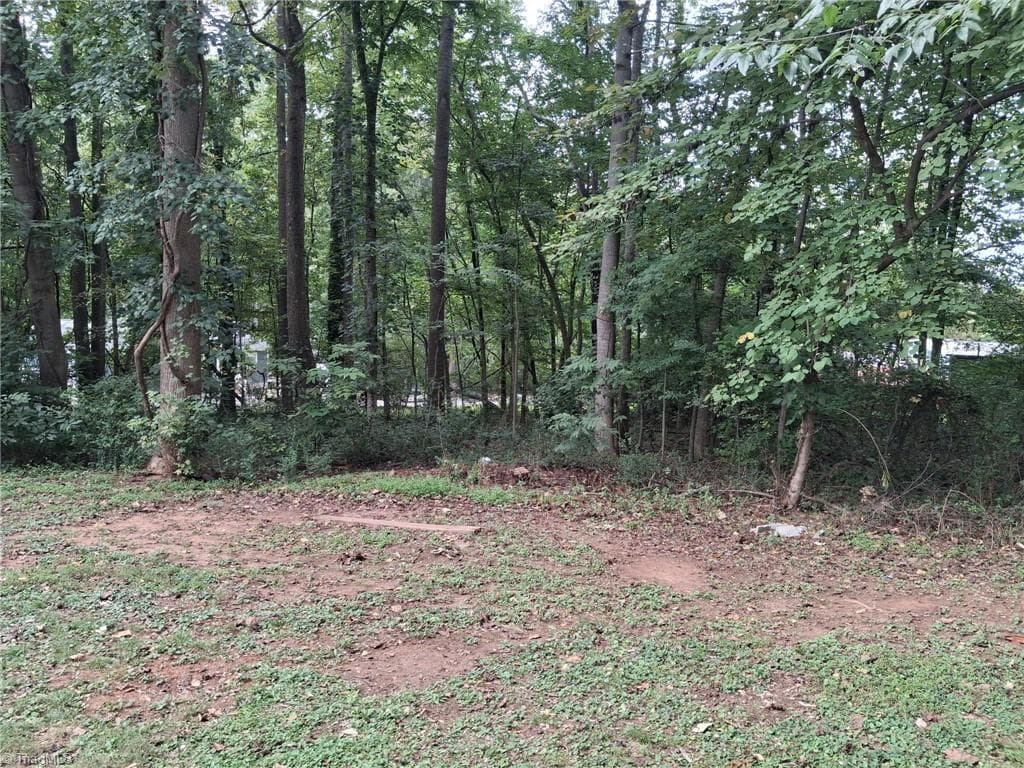 Single Family Residence at 0 Elm Street, Roxboro NC 27573, photo 2 of 3