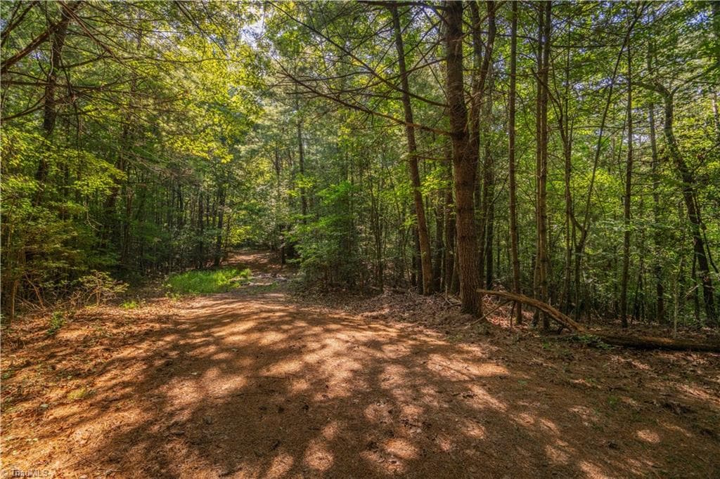 Unimproved Land at TBD Beacon Lane, Mount Airy NC 27030, photo 6 of 20