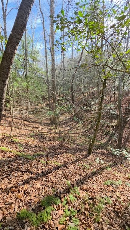Unimproved Land at TBD Beacon Lane, Mount Airy NC 27030, photo 17 of 20