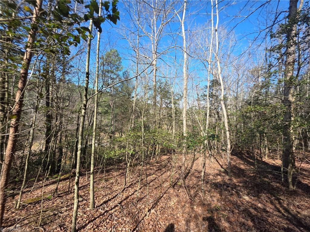 Unimproved Land at TBD Beacon Lane, Mount Airy NC 27030, photo 16 of 20
