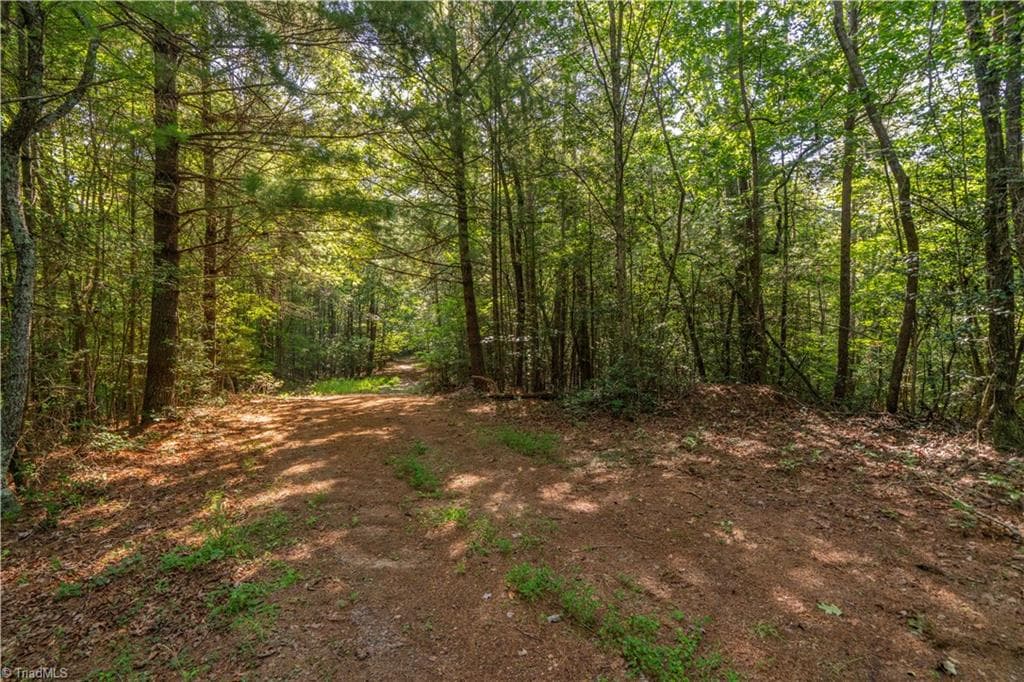 Unimproved Land at TBD Beacon Lane, Mount Airy NC 27030, photo 7 of 20
