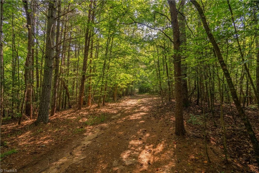 Unimproved Land at TBD Beacon Lane, Mount Airy NC 27030, photo 5 of 20