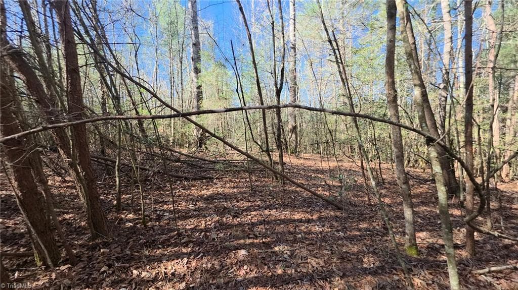 Unimproved Land at TBD Beacon Lane, Mount Airy NC 27030, photo 18 of 20